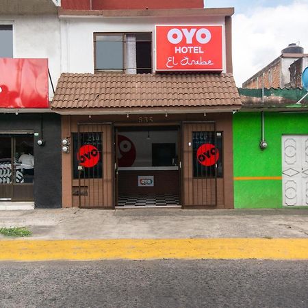Oyo Hotel El Arabe, Xalapa Dış mekan fotoğraf