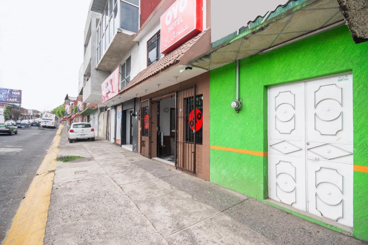 Oyo Hotel El Arabe, Xalapa Dış mekan fotoğraf